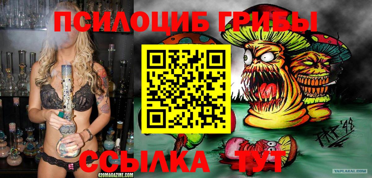 Спасск-Дальний  Псилоцибиновые грибы Psilocybe  Вход с VPN 
